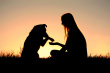 stock-photo-29121086-woman-and-her-dog-shaking-hands-silhouette